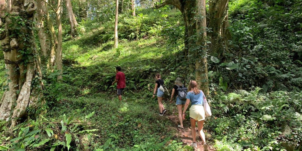 Edrian Bungalows Tetebatu Bagian luar foto