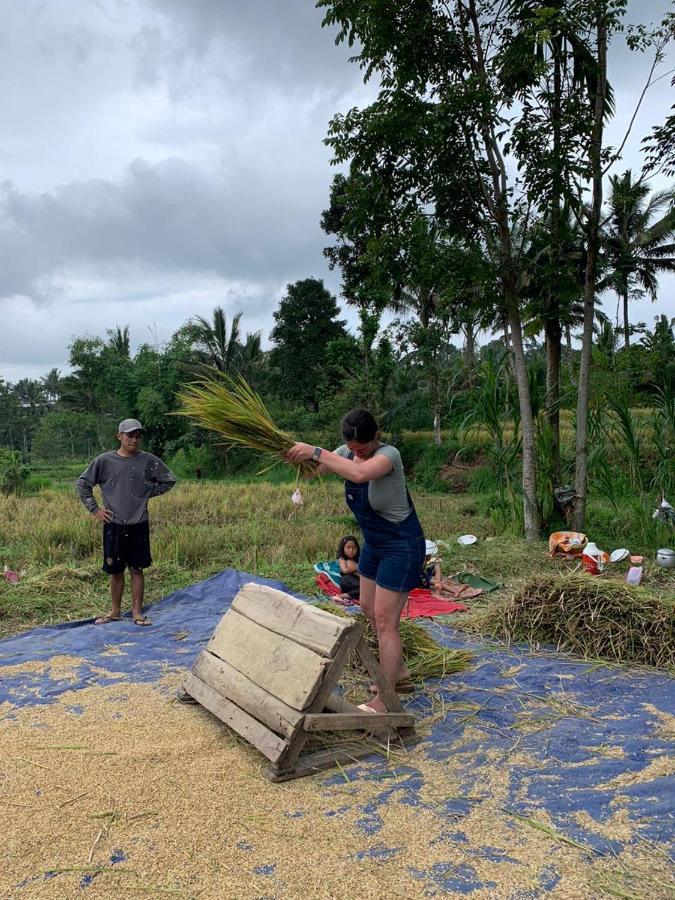 Edrian Bungalows Tetebatu Bagian luar foto