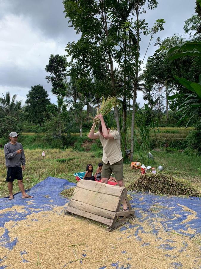 Edrian Bungalows Tetebatu Bagian luar foto