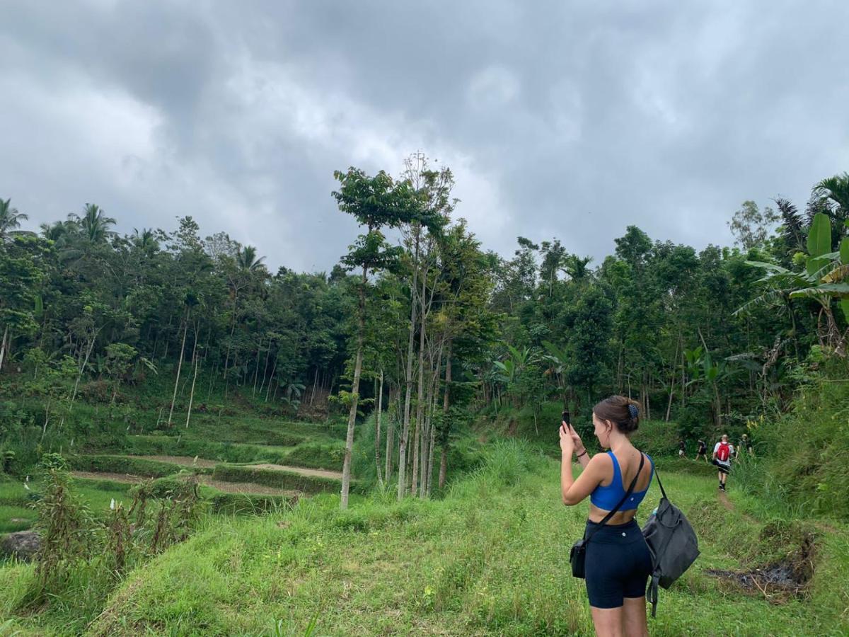 Edrian Bungalows Tetebatu Bagian luar foto